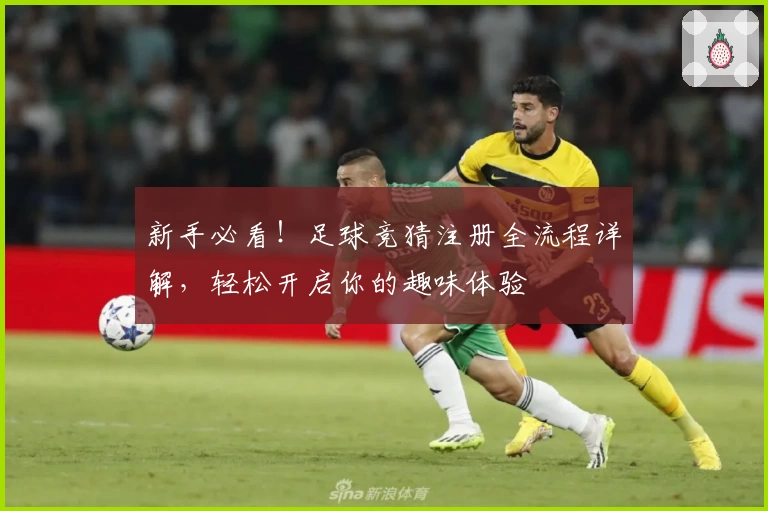 新手必看！足球竞猜注册全流程详解，轻松开启你的趣味体验