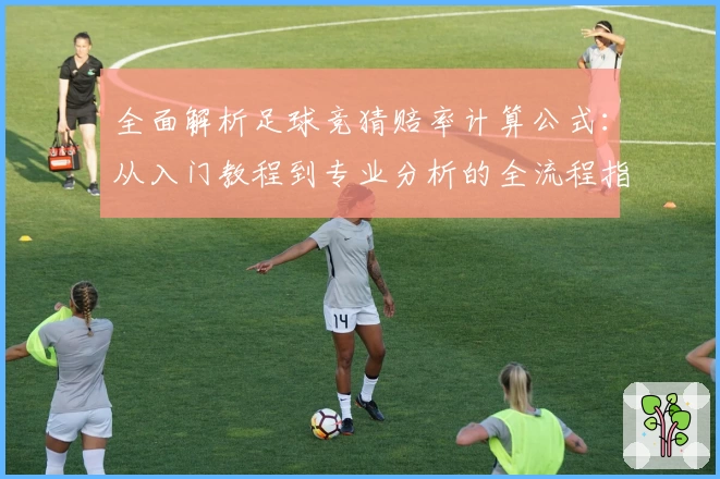 全面解析足球竞猜赔率计算公式：从入门教程到专业分析的全流程指南