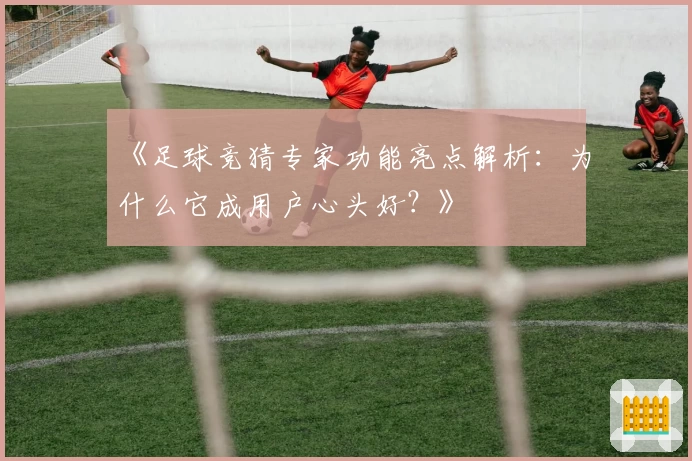《足球竞猜专家功能亮点解析：为什么它成用户心头好？》