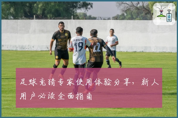 足球竞猜专家使用体验分享,新人用户必读全面指南