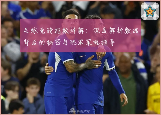 足球竞猜指数详解：深度解析数据背后的秘密与玩家策略指导